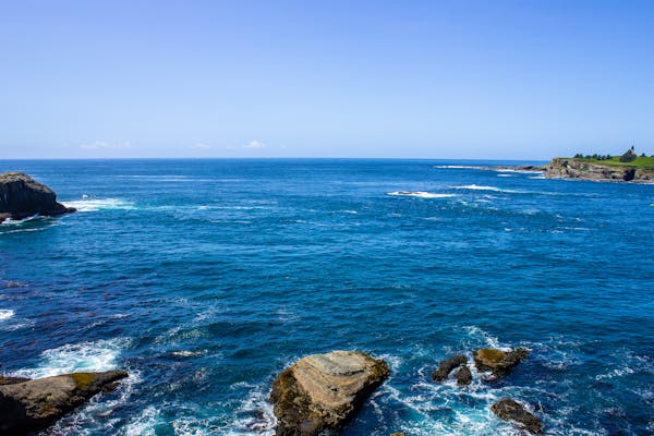 Zodiac animals watch