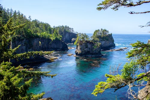 2 Green-and-gray Islet on Body of Water