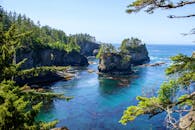 探索令人惊叹的沿海悬崖和充满活力的海景，绿树成荫