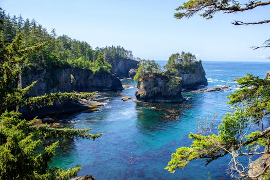 探索绿树成荫的沿海悬崖，欣赏令人惊叹的壮丽海景