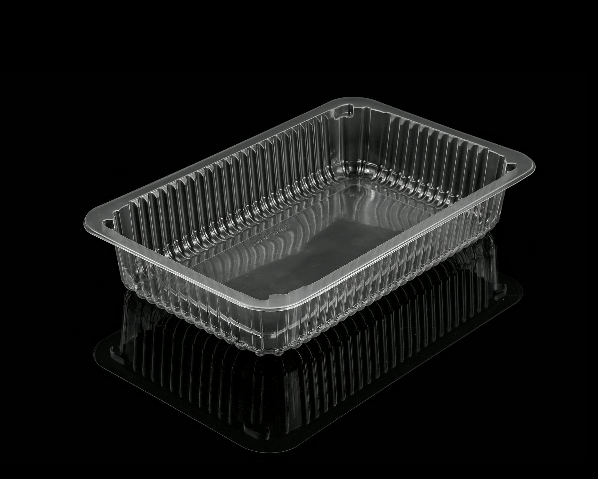 Clear plastic food container with lid