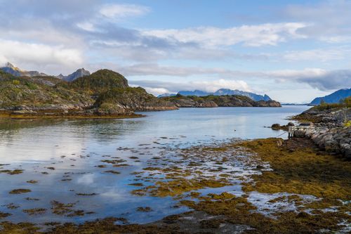Free Breathtaking view of Lofoten Islands' coastline with rocky cliffs and seaweed-laden shores. Stock Photo