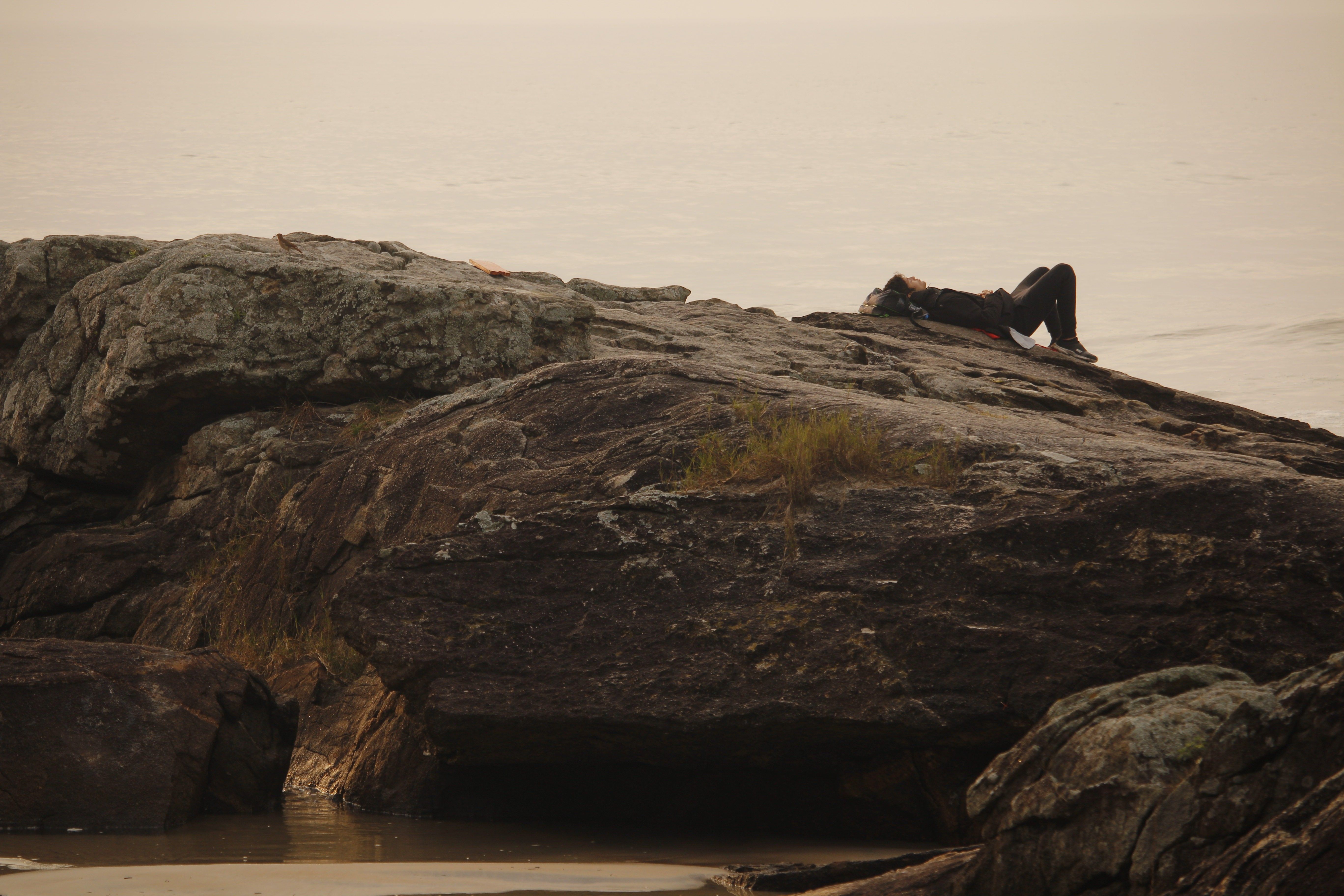 A person laying on a rock at the beach · Free Stock Photo