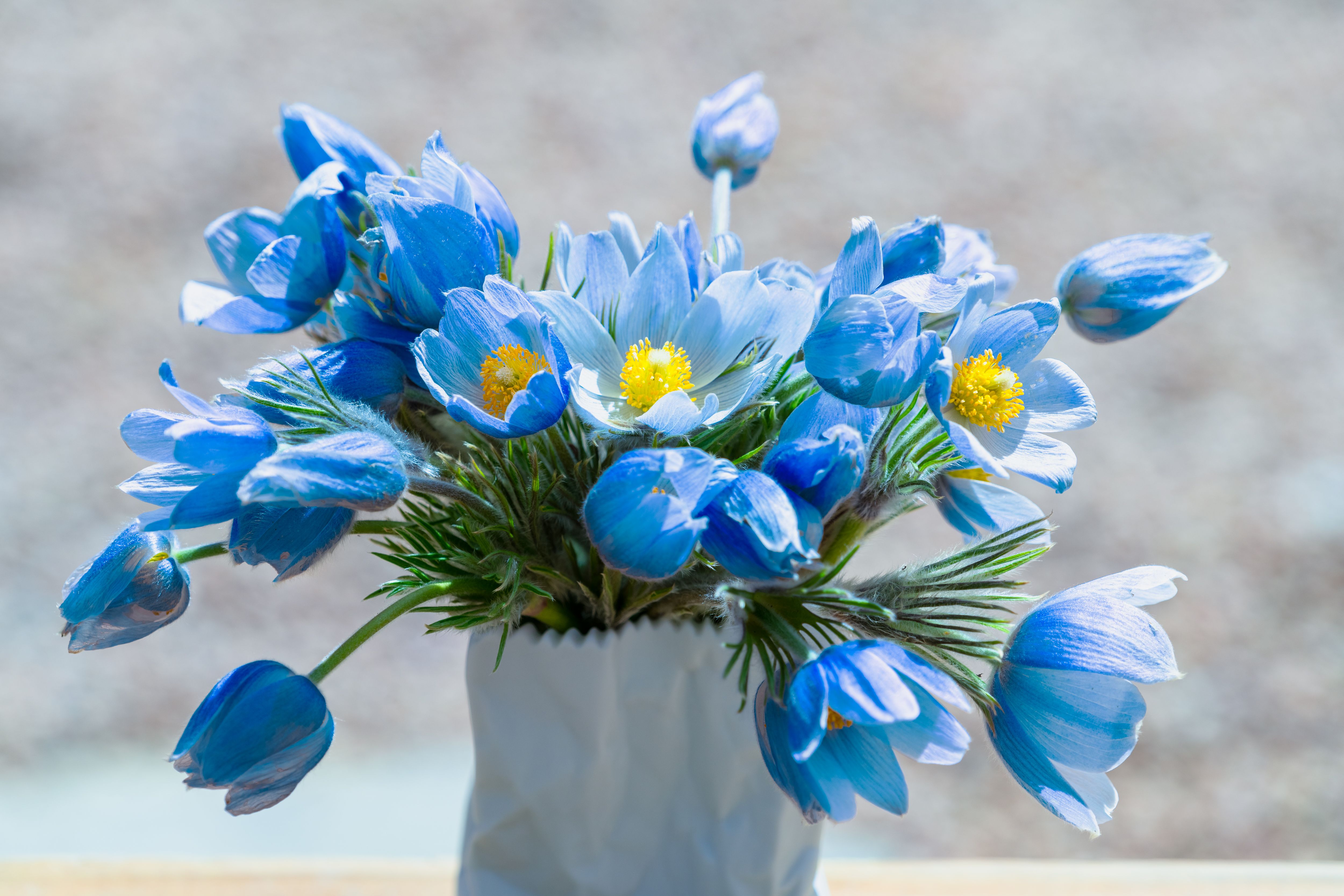 Bouquet Of Blue Flowers In White Vase Free Stock Photo