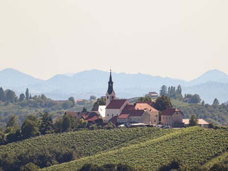 Picturesque church surrounded by vineyards and rolling hills under a clear sky.