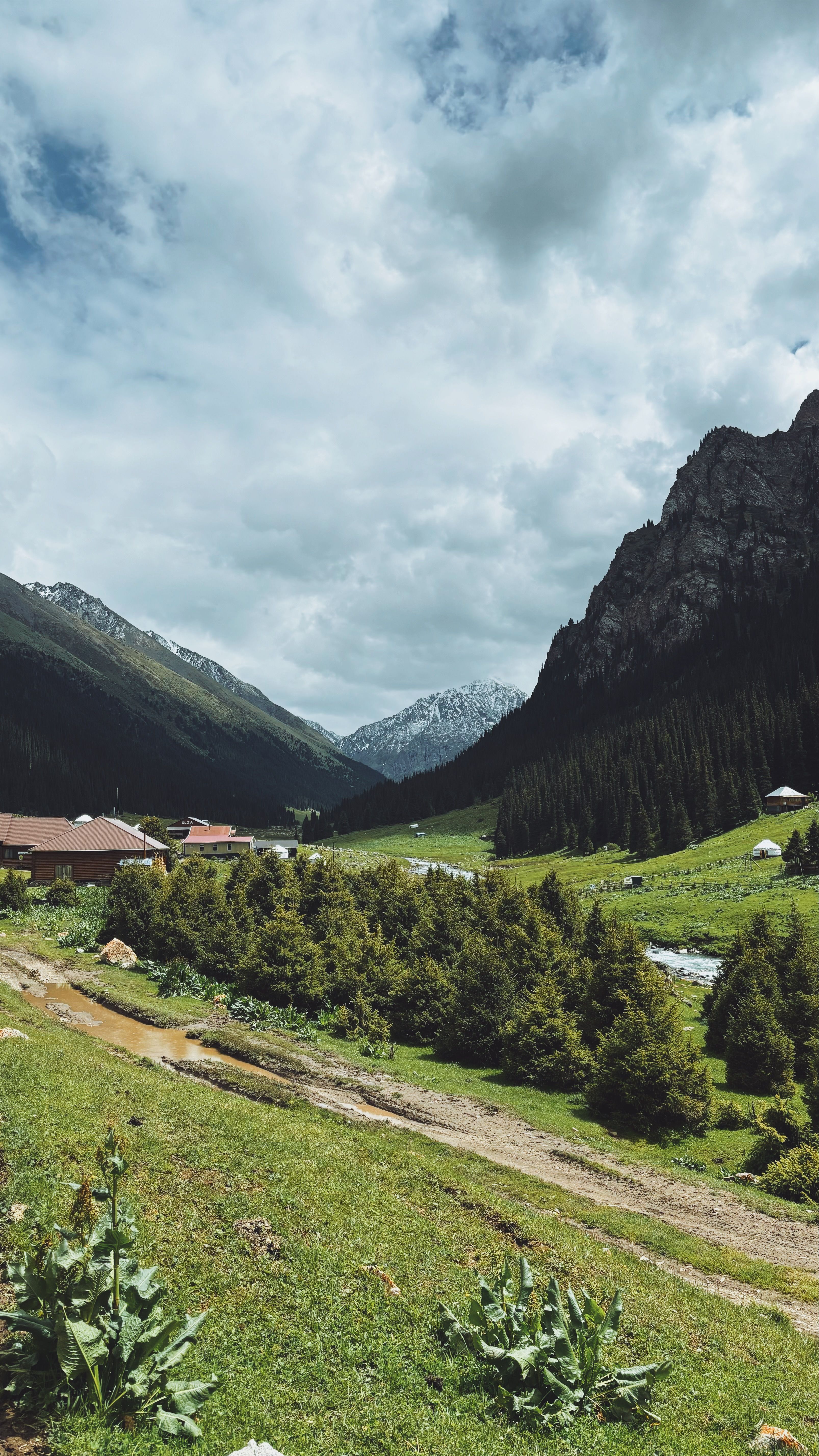 Scenic mountain valley with lush greenery and flowing river under cloudy skies.
