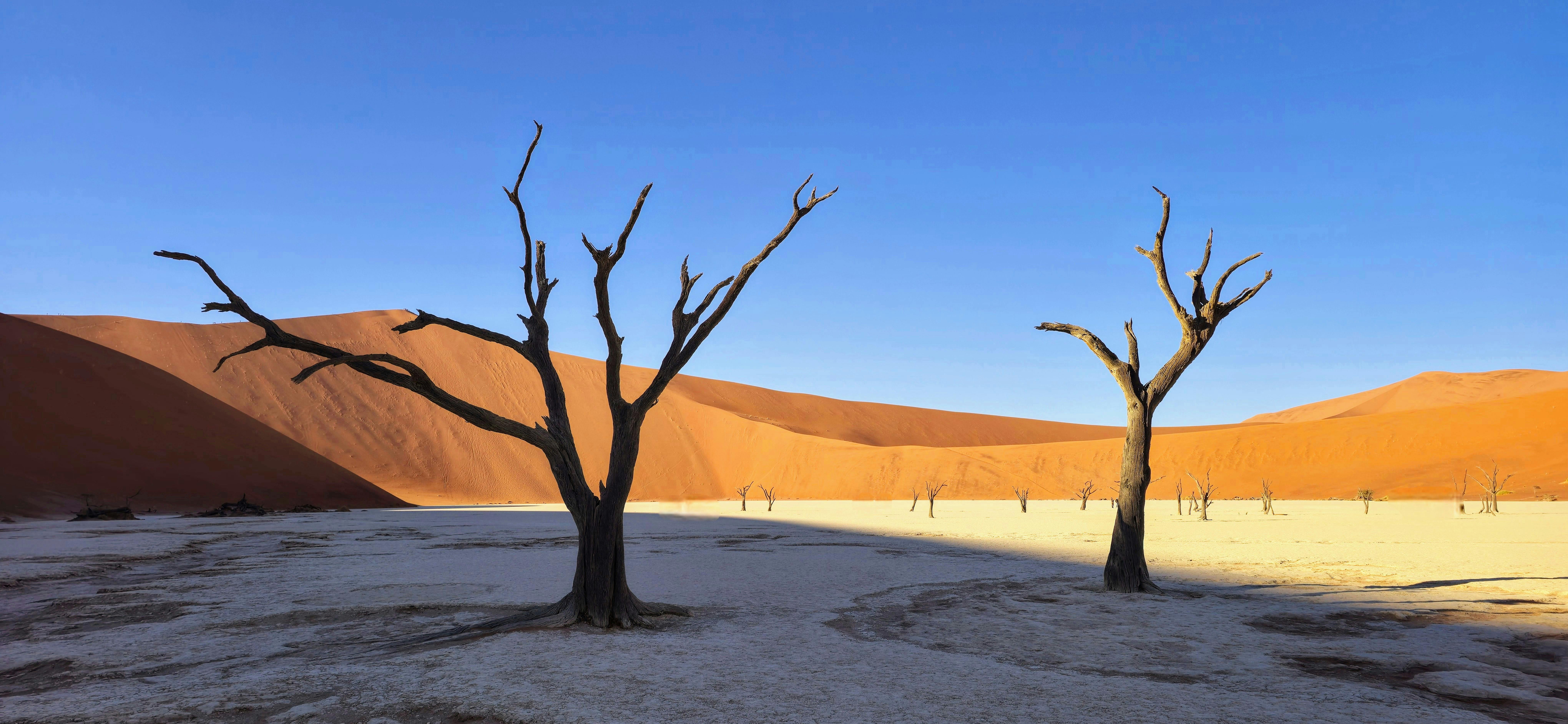 Namibie — paysage de voyage Amanéa