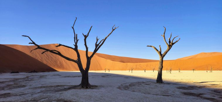 Skeleton Coast charter flight — Namibia