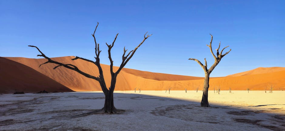 Foto de Namib-Naukluft Park