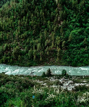 从空中俯瞰，印度郁郁葱葱的森林和充满活力的河流展现出壮丽的自然美景