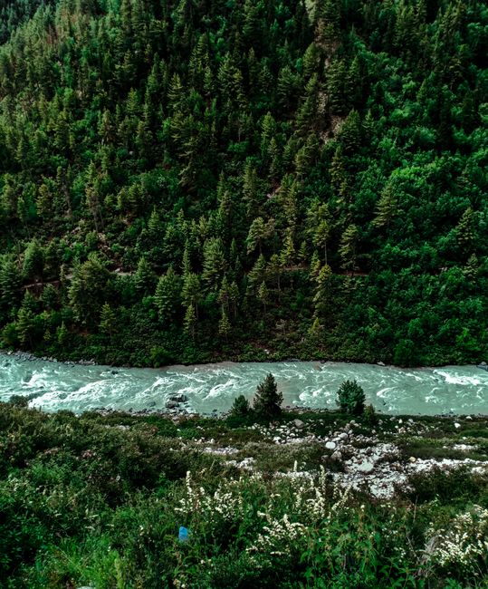 Aerial view of a lush forest and vibrant river in India, showcasing natural beauty.