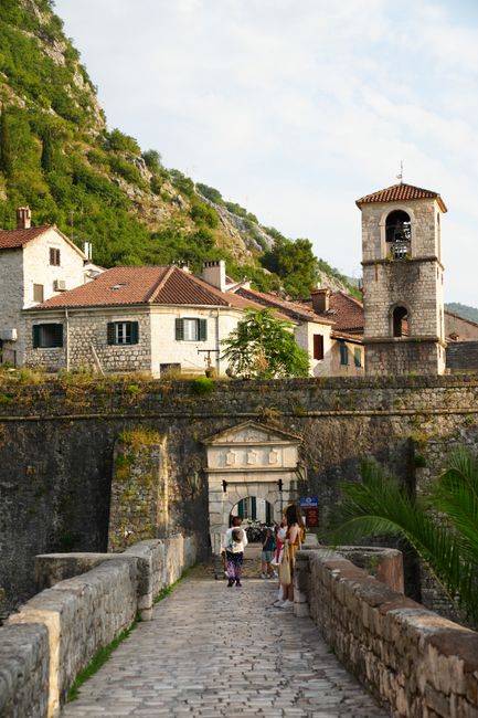 Stone pathway leading to the historic gateway of Kotor, Montenegro, surrounded by traditional architecture and lush greenery.