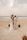 beach wedding