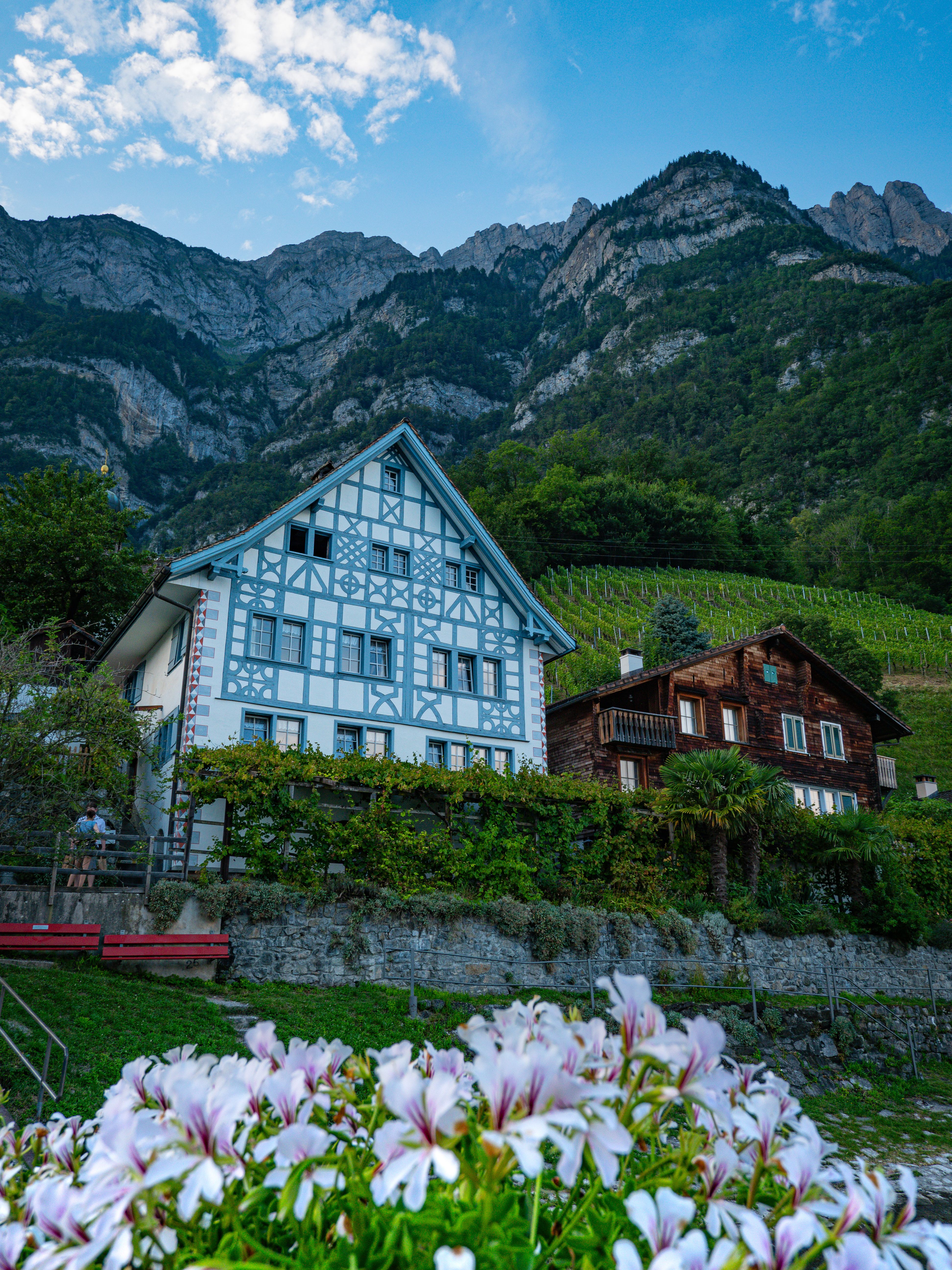 A house with flowers in front of it and mountains · Free Stock Photo