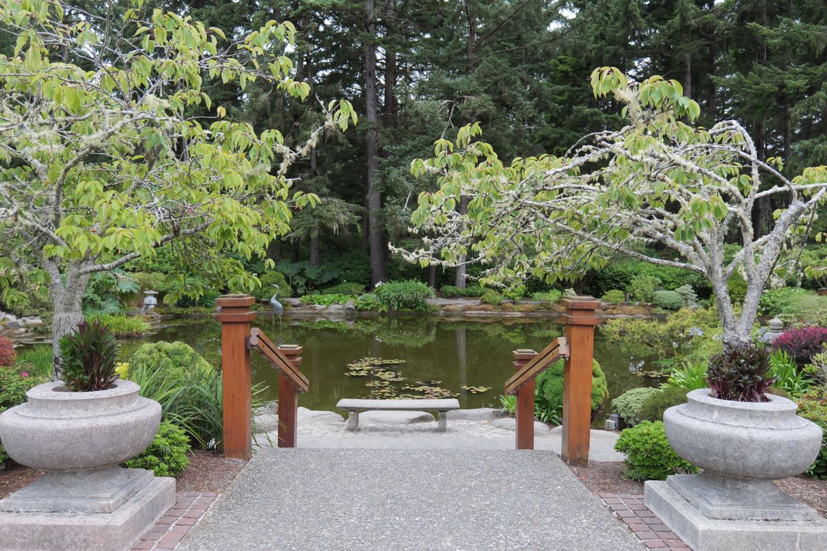 Peaceful Japanese garden