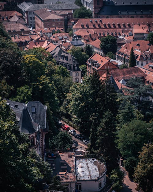 Darmowe zdjęcie z galerii z heidelberg, miasto, natura