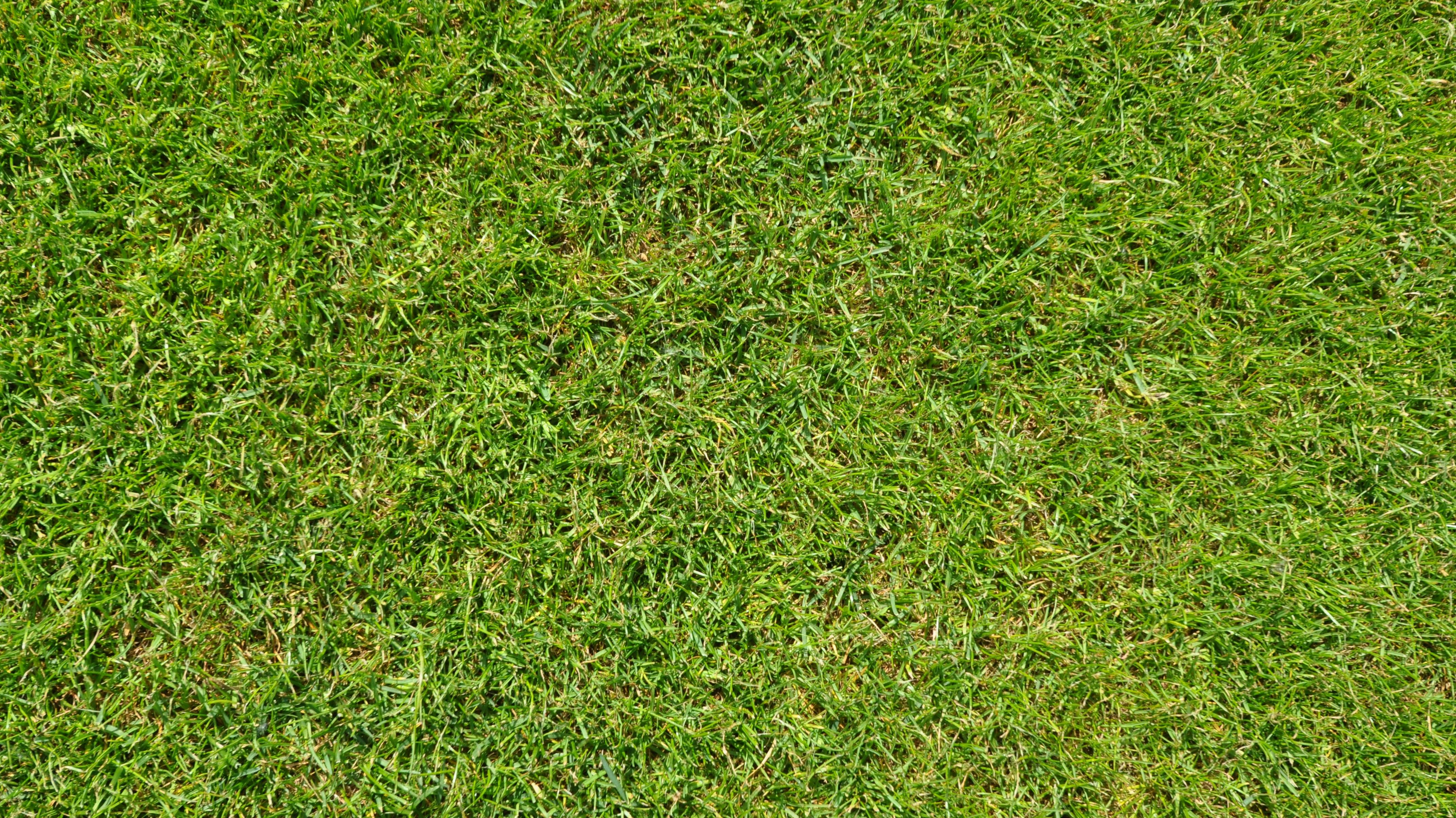 Background Football Football Field Gazongras 274503