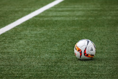 無料 草の上の白いアディダスサッカーボール 写真素材