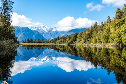 Lago Perto Da Floresta