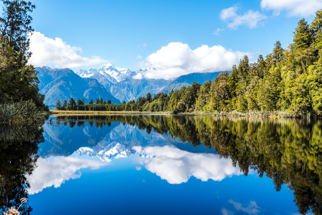 Lake Near Forest