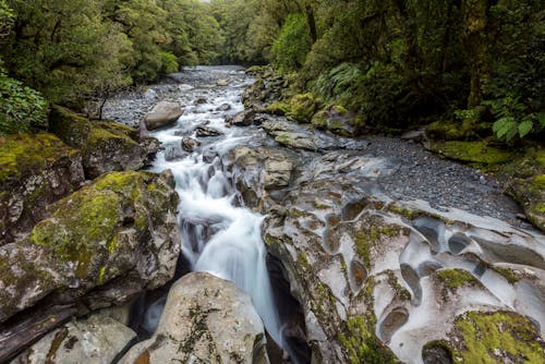 Long-Exposure Photo of River Near Trees