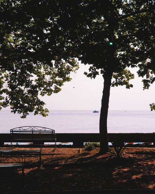 Free Relaxing lakeside scene with benches under a tree shade at sunset. Perfect for recreation and travel imagery. Stock Photo