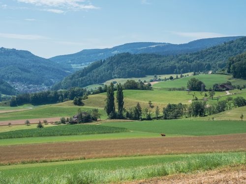 Free Captivating rural landscape showcasing lush green fields and rolling hills under a clear summer sky. Stock Photo