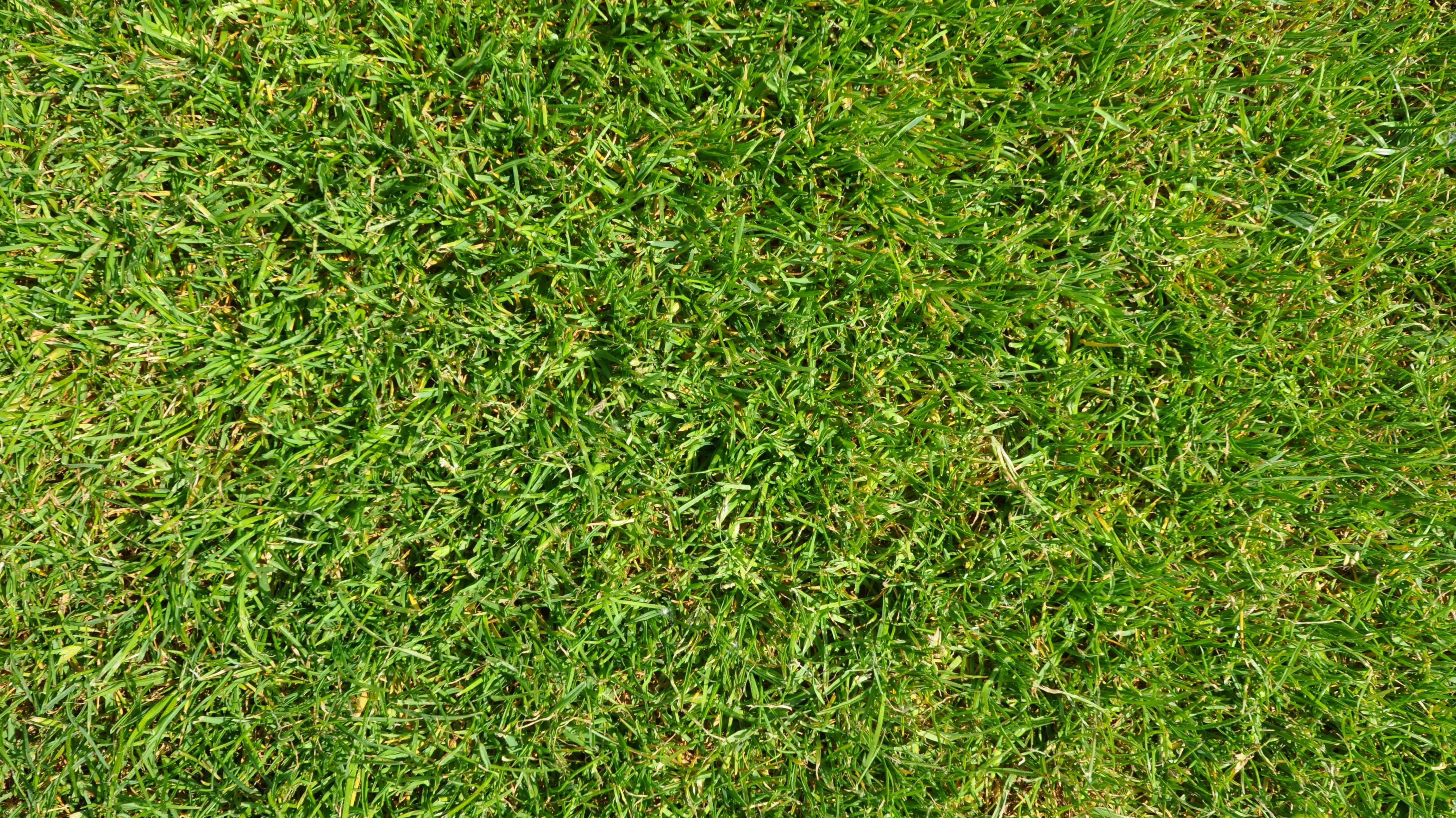 Background Football Football Field Gazongras 274541