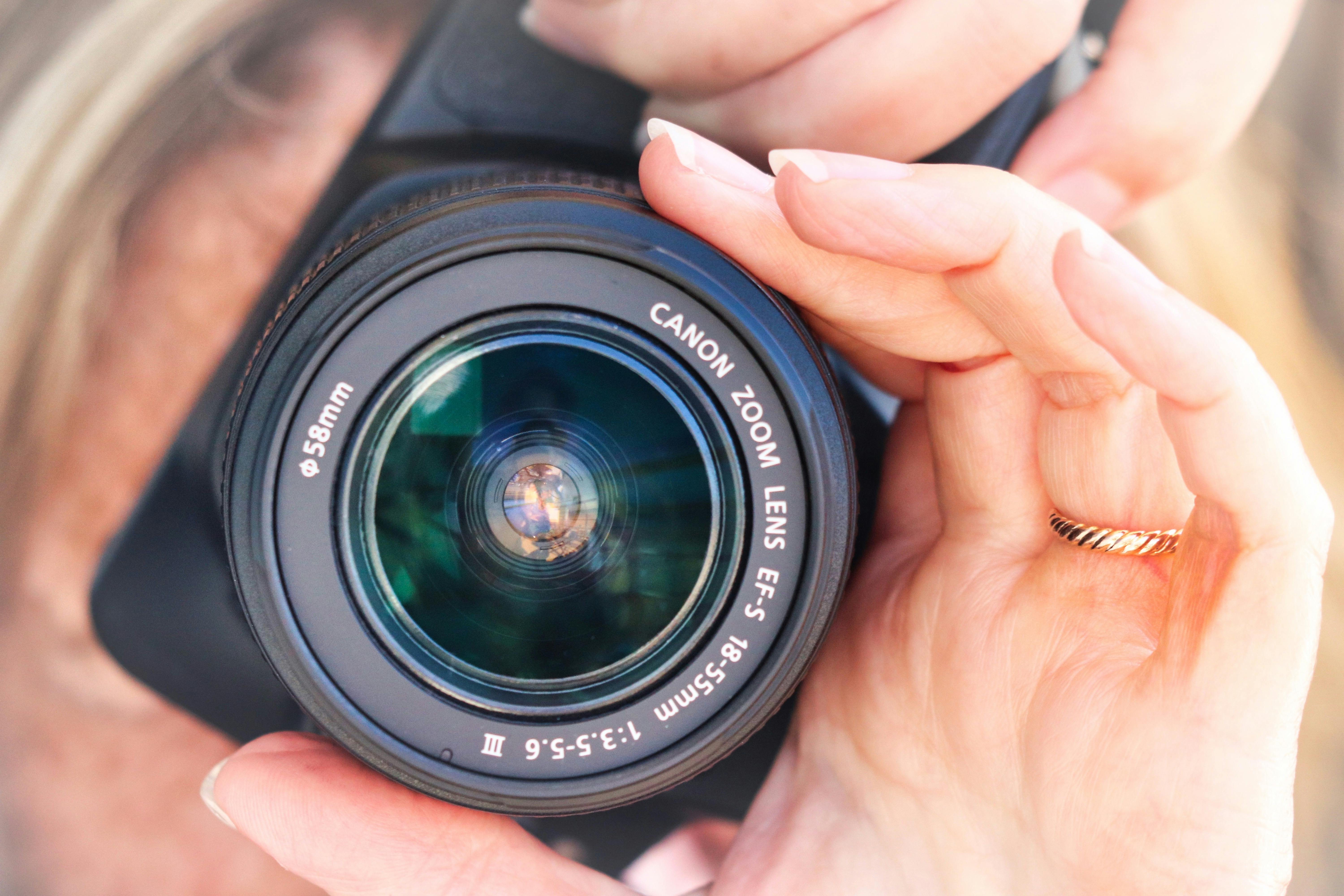 UF adds Western canon-focused courses to general education — Photo by Russell Butcher on Pexels