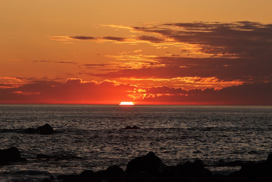 Imagen profesional de 'marketing, estrategia digital, contenido estrategias seo funcionaban 2010 aún puedes exprimir clave siendo siguen 2010 palabras está estrategias hoy enfoque google ejemplo 2024 diferencia ahora seo búsqueda tácticas clásicas' por Efrem Efre