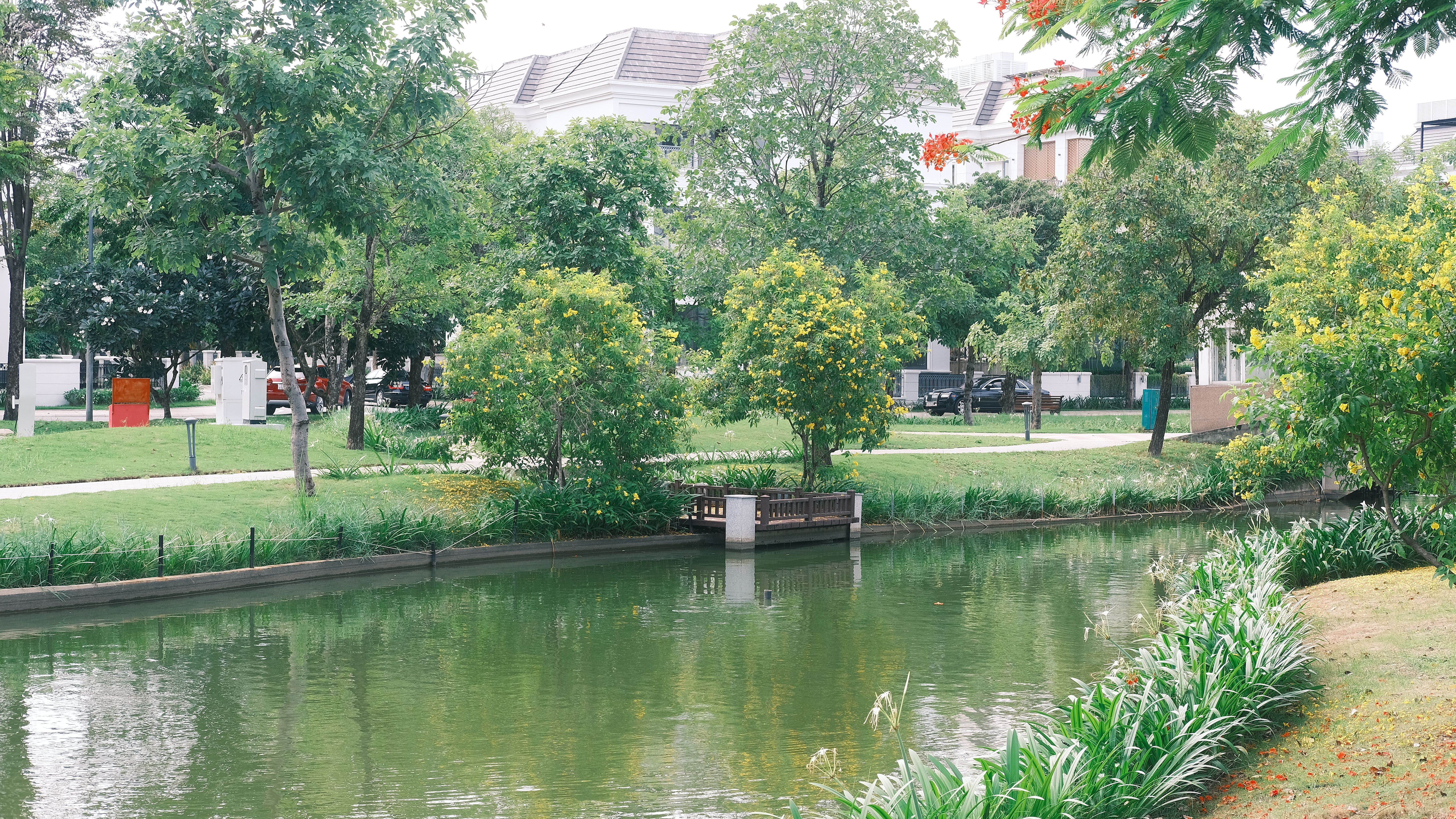 A park with a river running through it and trees · Free Stock Photo