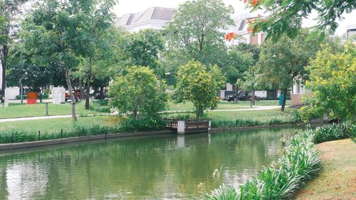 Free A picturesque summer park featuring lush trees, a calming canal, and a peaceful atmosphere. Stock Photo