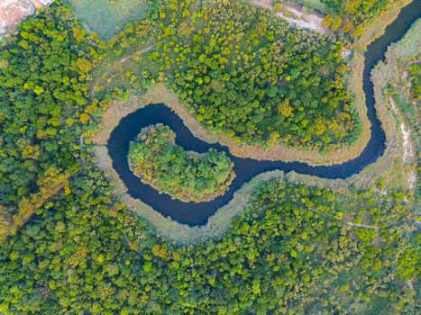 Scenic aerial view of a serpentine river winding through dense forest in India, showcasing vibrant summer greenery.