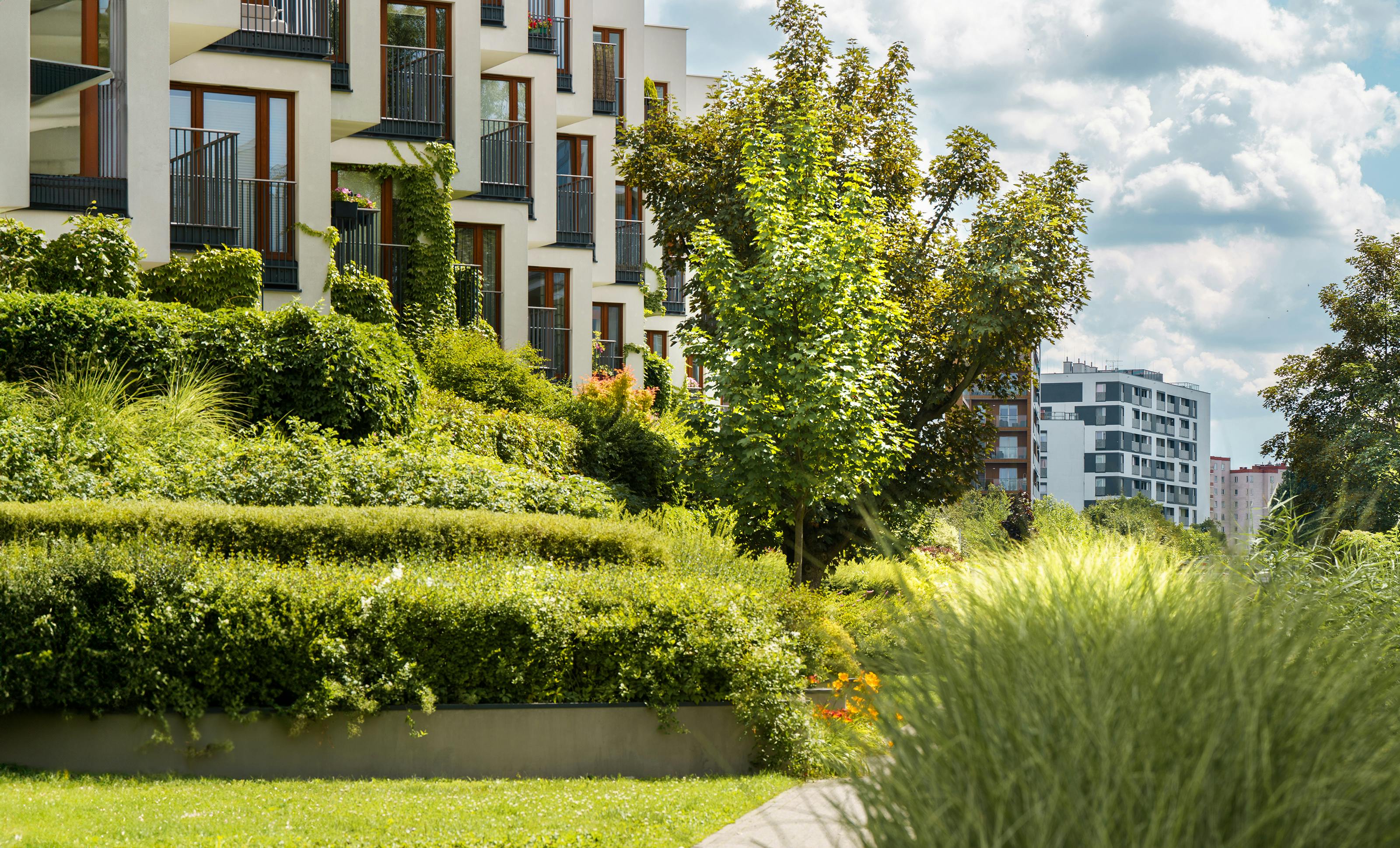 Real estate agent reviewing energy efficiency documents with clients