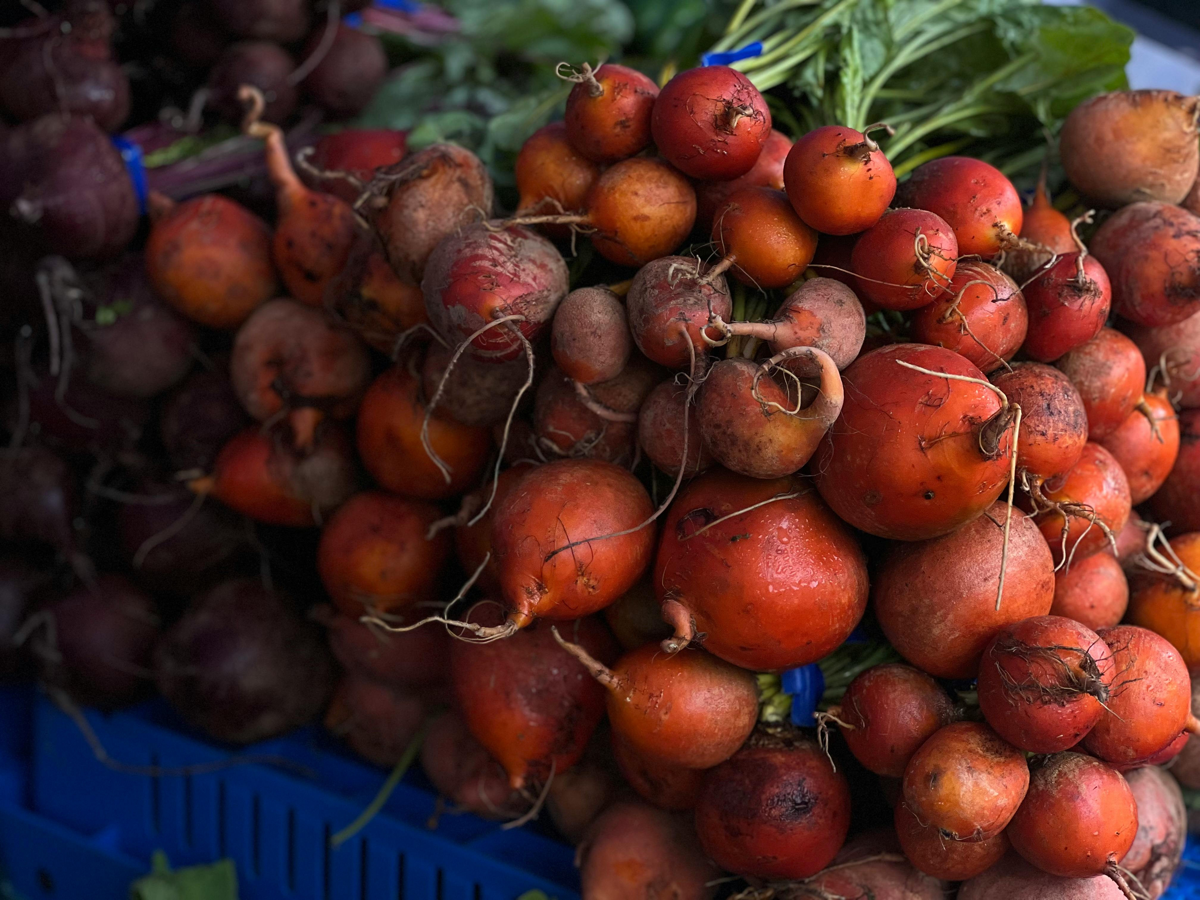 a bunch of beets and radishes are on display