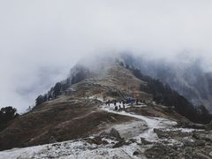 Triund day hike (self-guided, forest fee)
