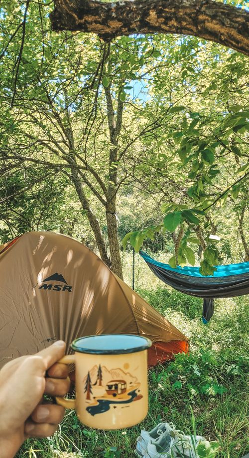 Free Peaceful camping site with tent, hammock, and coffee mug in sunny woods. Stock Photo