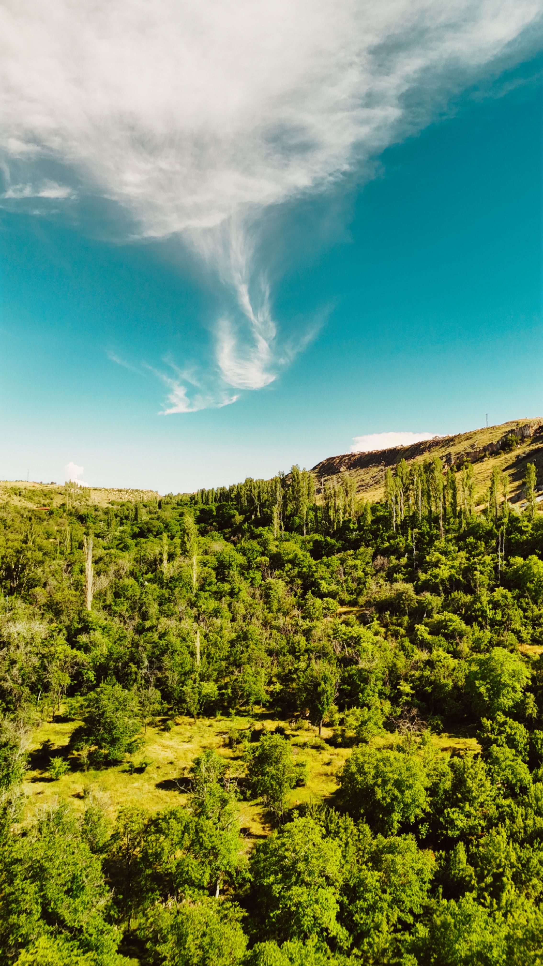 Fotomural Fotolia