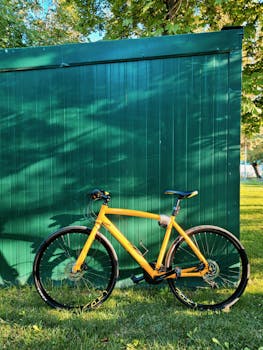 Vibrant orange bicycle leaning on a green wall, bathed in sunlight.