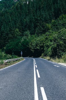 Curved road through lush forest, perfect for peaceful journeys and travel inspiration.