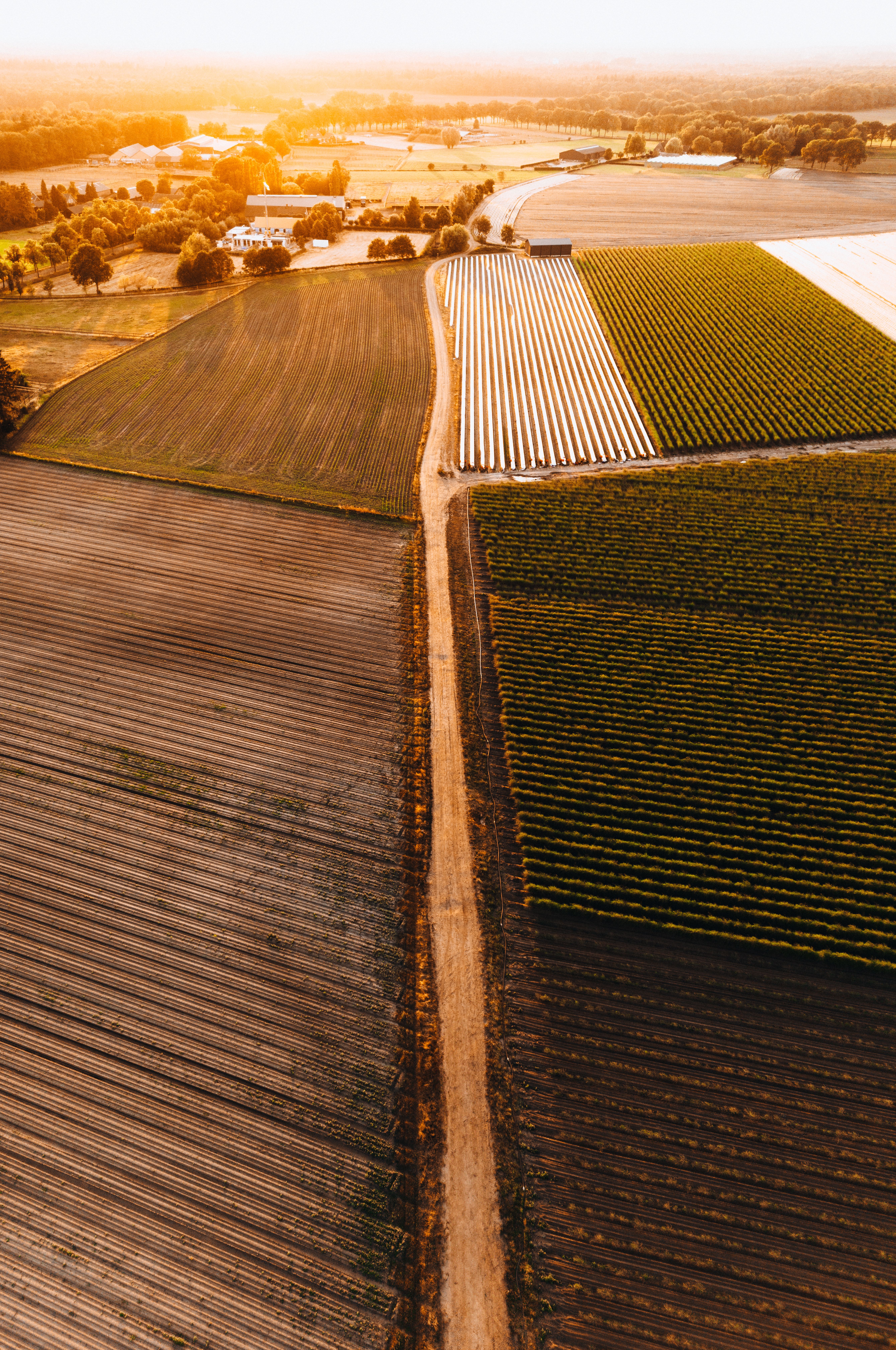 Maximizing Returns: Analytical Perspectives on Africa’s Agropole Investments
