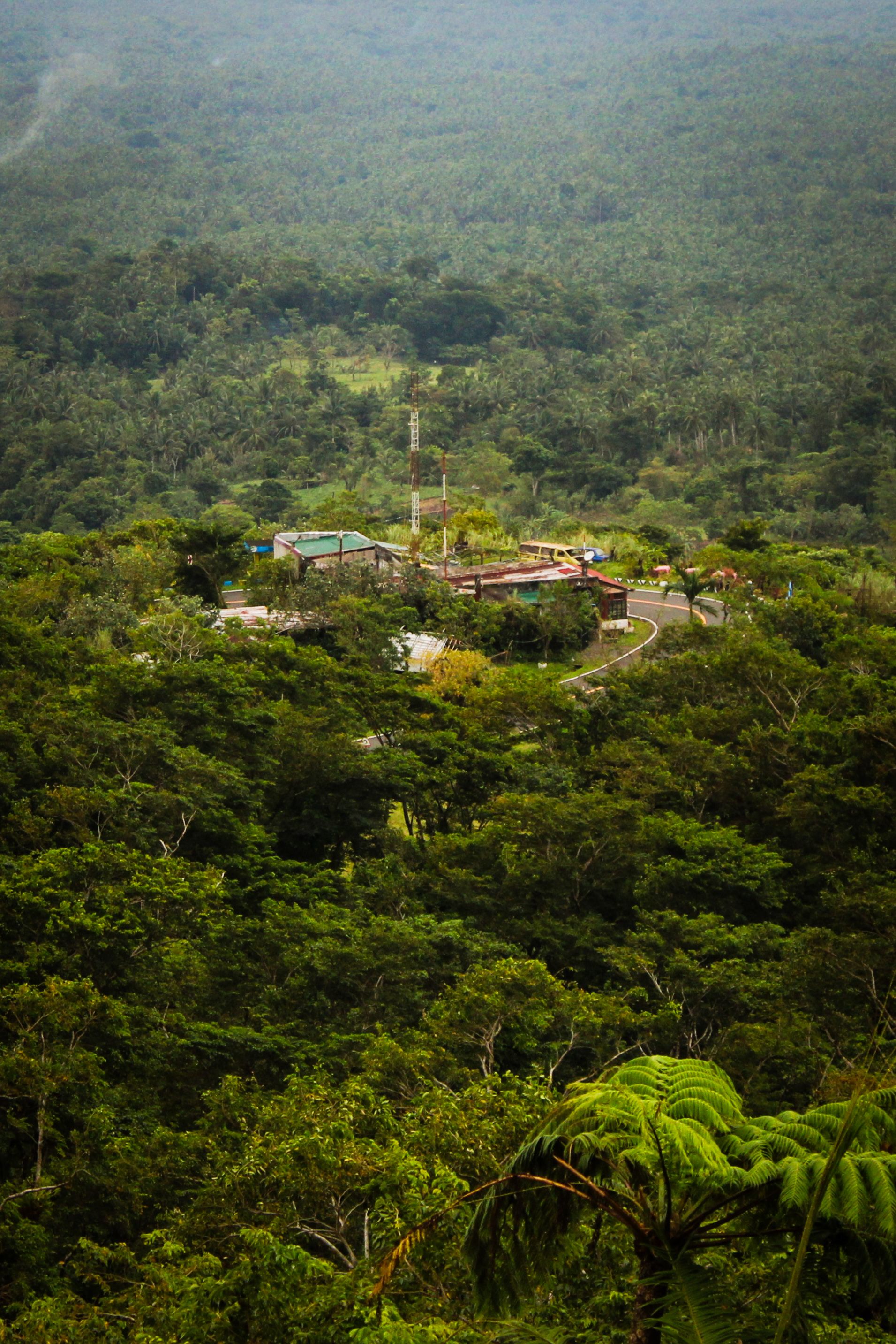 A small house sits in the middle of a lush green forest · Free Stock Photo