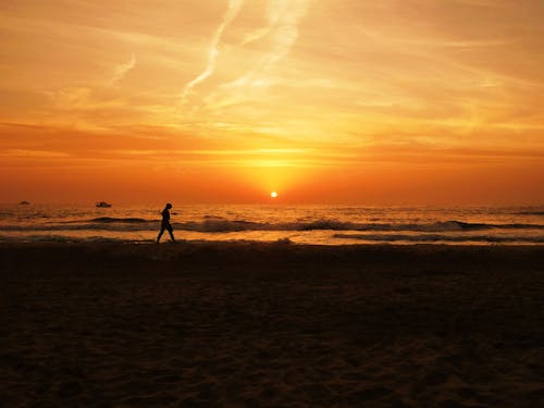 Bezpłatne Sylwetka Osoby Idącej W Pobliżu Plaży Podczas Zachodu Słońca Zdjęcie z galerii