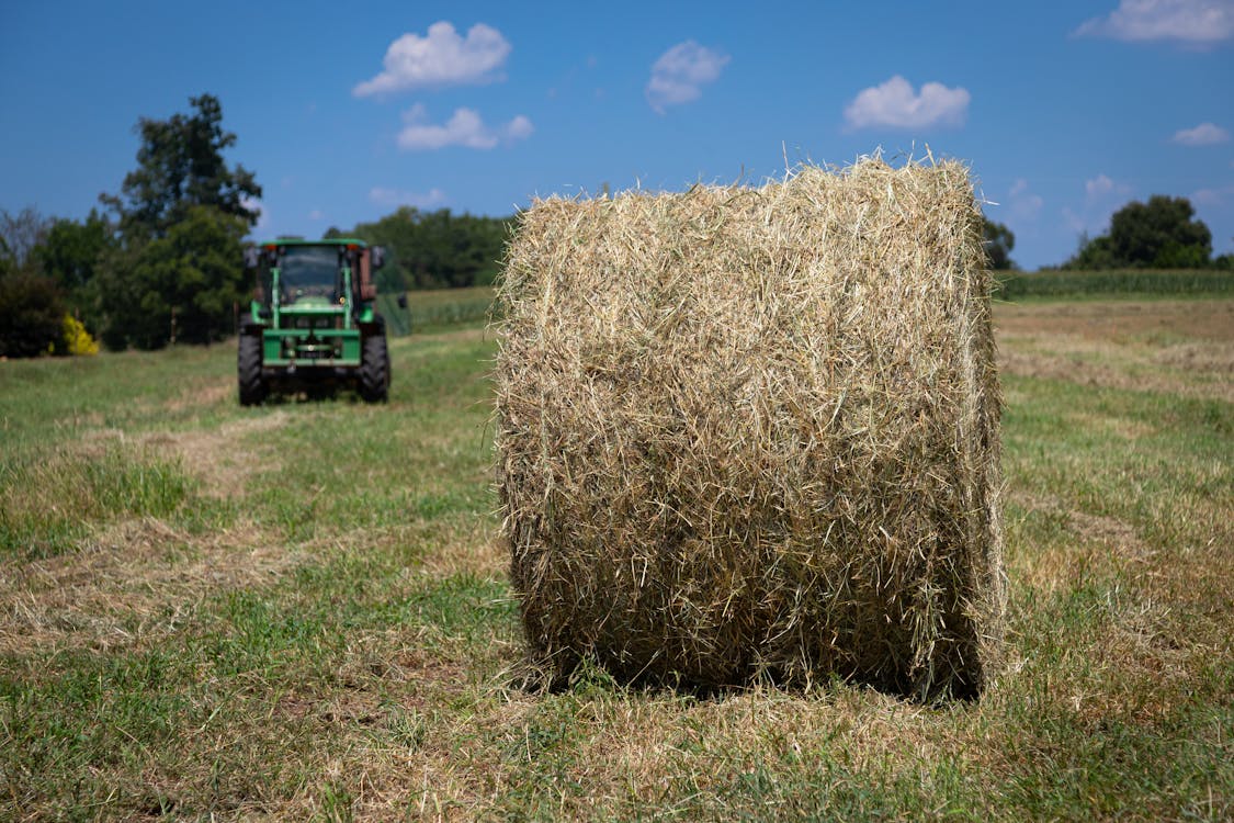 Foto profissional grátis de área, chácara, equipamento pesado