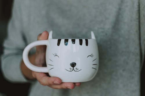 Free Unrecognizable person in gray warm sweater with cat cup of coffee standing at home Stock Photo