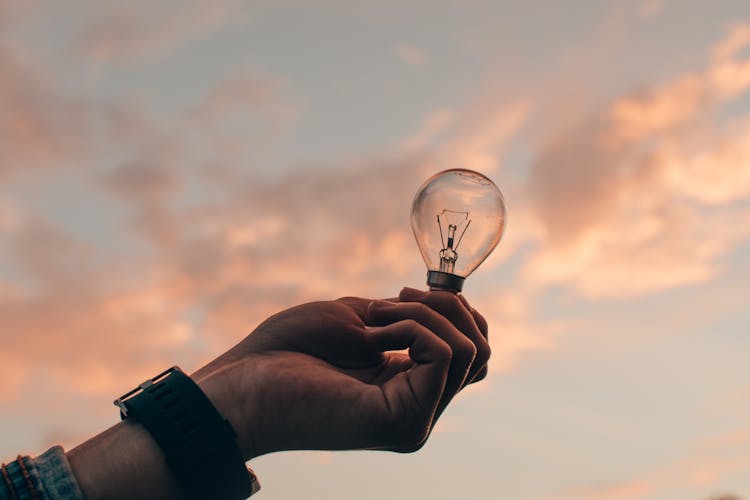 Person Holding Light Bulb