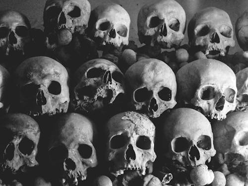 Free Pile Of Human Skulls Stock Photo