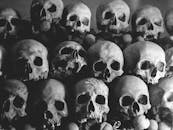 一堆人类头骨黑暗而令人难忘，营造出令人毛骨悚然的氛围