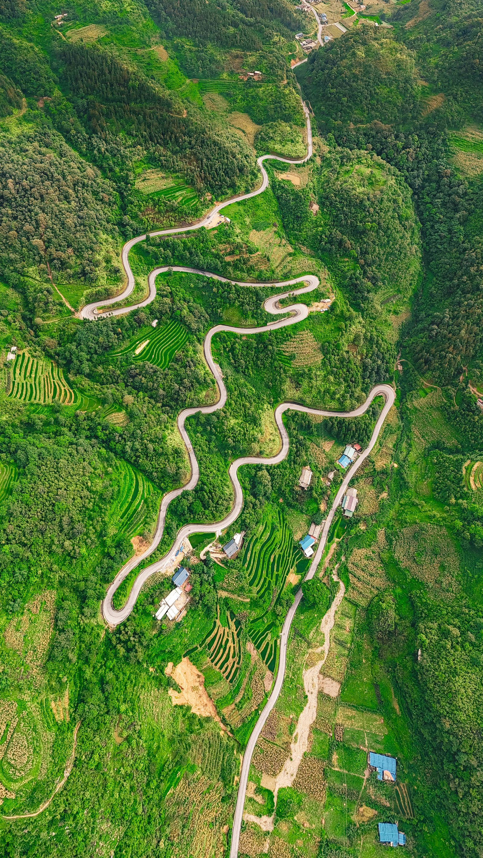 Winding mountain road in Ha Giang showing why travel time can be slower than expected