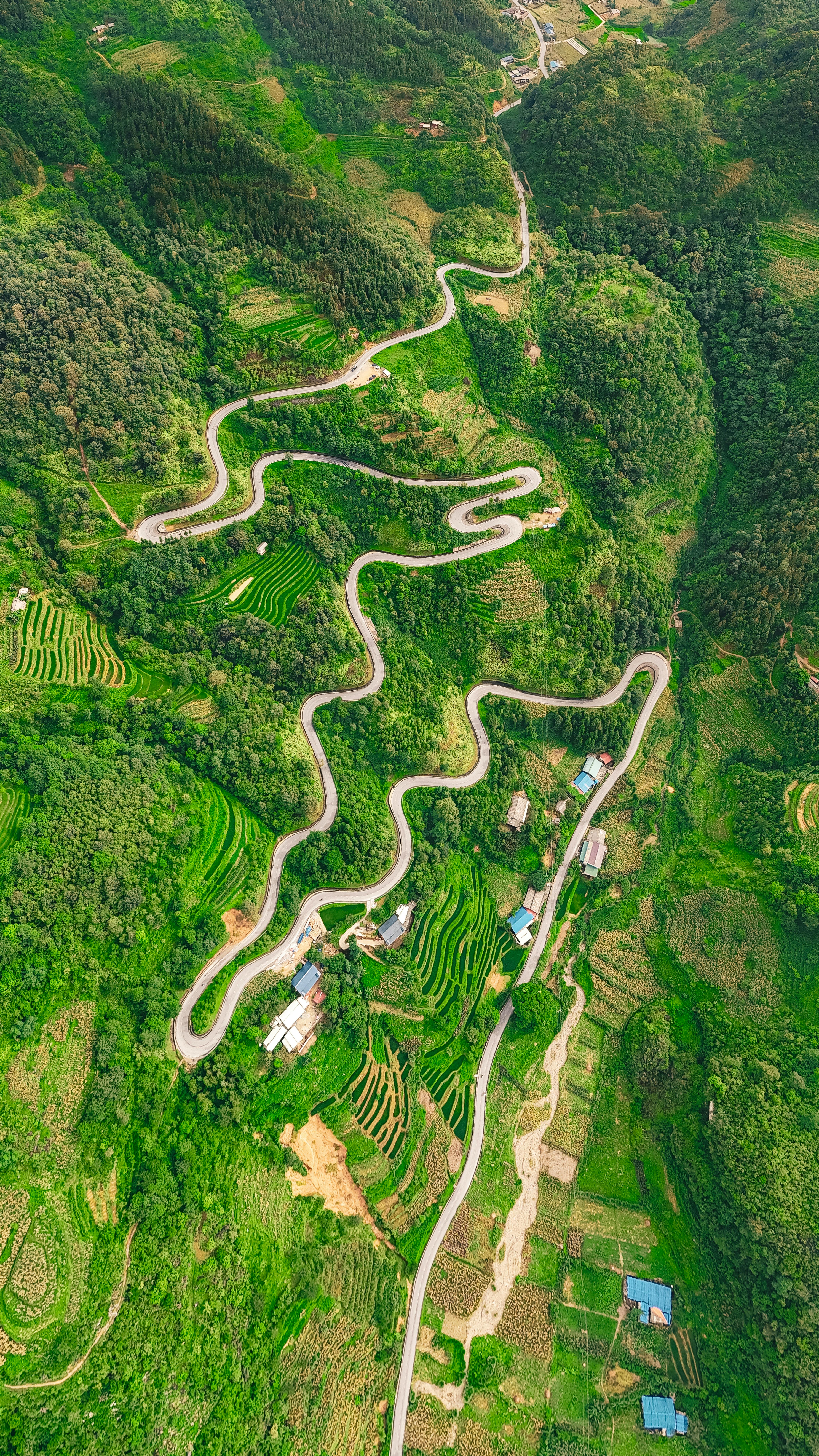 Miễn phí Ảnh lưu trữ miễn phí về cảnh quan xanh, cây xanh tươi tốt, chụp ảnh bằng máy bay không người lái Ảnh lưu trữ